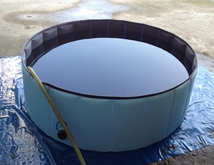 Foldable Anti slip Pet <strong>Pool</strong> <strong>Dog</strong> Bath Cleaning <strong>Pool</strong> Pet Swimming <strong>Paddling</strong> <strong>Pool</strong> - Product Image 3
