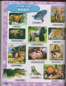 Dictionnaire illustré utile pour les enfants apprenant les <span class=keywords><strong>mots</strong></span> chinois et anglais - Product Image 3