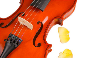 (TL-VP03A) Vendedor Caliente Estupendo de Calidad violín de ventas en línea, alemán violines para la venta - Product Image 4