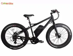 1000W 48V electric bicycle mid drive motor 26x4.0 fat tire electric bike China supplier