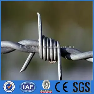 नकली कांटेदार तार - Product Image 1