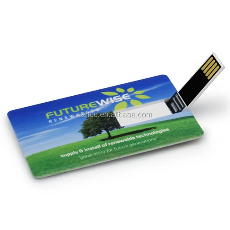 OEM מותאם אישית עסקי כרטיס זיכרון pendrive 2GB מלא צבע אשראי כרטיס usb דיסק און קי עם לוגו