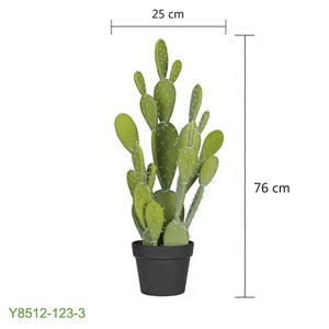 Cactus planta <span class=keywords><strong>bonsai</strong></span> cactus y suculentas vivero artificial verde - Product Image 2
