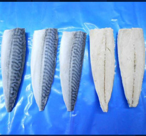موسم جديد من سمك الماكريل المجمد - Product Image 2