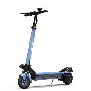 Big Power Foldable Electric Scooter