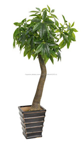 Árboles <span class=keywords><strong>bonsai</strong></span> <span class=keywords><strong>de</strong></span> interior <span class=keywords><strong>bonsai</strong></span> árbol <span class=keywords><strong>Schefflera</strong></span> artificial chino - Product Image 5