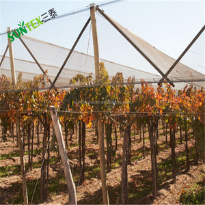 Pohon Apple <span class=keywords><strong>Anti</strong></span> hujan es <span class=keywords><strong>Net</strong></span>/hujan es perlindungan Mesh/hujan es pabrik jaring