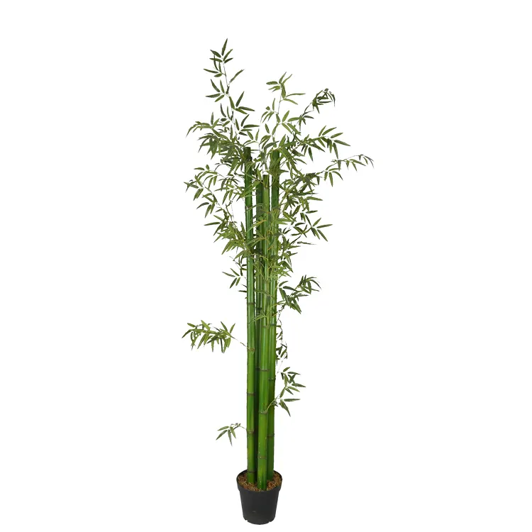 Bambou décoratif, 1 pièce, 2.3m de haut, pour l'intérieur