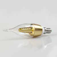 Vente en gros d'usine, ampoule à bougie SMD 220V 25-50W E14/E27 pour utilisation en jardin
