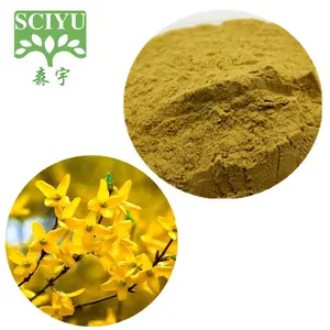 Forsythia Suspensa Fructus Extract Weeping Forsythia Extract Poeder