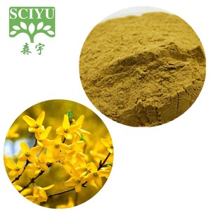 Forsythia Suspensa Fructus Extract Weeping Forsythia Extract Poeder - Product Image 1