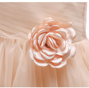 HYC220 Sveglio Delle Ragazze Della Principessa Del Partito Del Vestito <span class=keywords><strong>Da</strong></span> Cerimonia Nuziale 2018 Nuova <span class=keywords><strong>Damigella</strong></span> D'onore del Vestito Dal Tutu Senza Maniche Fotografia <span class=keywords><strong>Abiti</strong></span> - Product Image 4