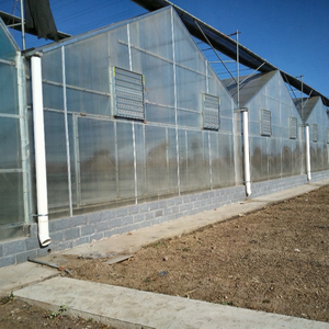 Invernadero <span class=keywords><strong>de</strong></span> <span class=keywords><strong>policarbonato</strong></span>, - Product Image 4