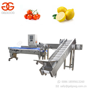 Machine professionnelle de calibrage automatique, convoyeur pour la viande, les cerises - Product Image 5
