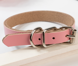 Kerah Anjing Kulit Asli Lembut Logo Laser Terukir Kualitas Tinggi - Product Image 6