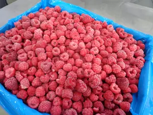 Iqf Raspberry Whole New Season Fresh Frozen Product IQF Raspberries Fruits Frozen Raspberry