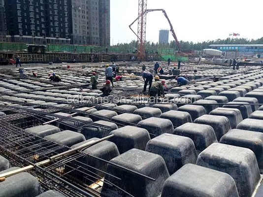 재사용 가능한 OEM 맞춤형 플라스틱 천장 처마 장식 몰딩 와플 슬래브 금형 건물