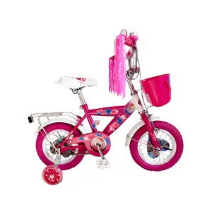 Gadis Sepeda/Sepeda Anak-anak Sepeda/Sepeda untuk 4 Tahun