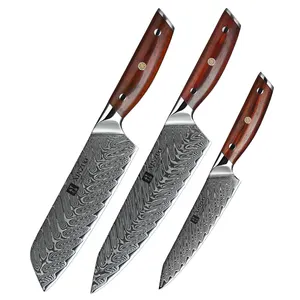 Cổ điển 3 cái chuyên nghiệp nhật bản 67 lớp Damascus thép nhà bếp Đầu Bếp Knife Set