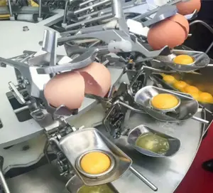 Made in China Egg Breaking and Separating machine egg liquid separating machine