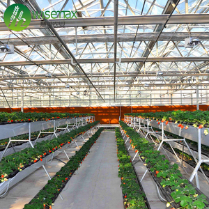 Yüksek kalite Çok Tropikal iklim Açıklıklı Çatı ve cephe sera Havalandırma - Product Image 5