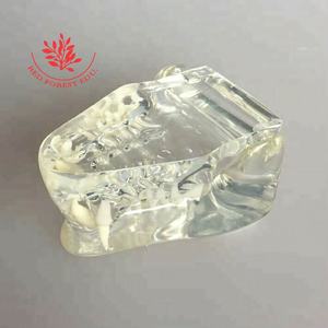 Modelo Transparente de Huesos de Mandíbula y Dientes de Gato y Perro para Anatomía Animal - Product Image 2