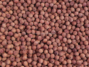 Perles de bois de santal non polies Perles de bois de 12 mm - Product Image 4