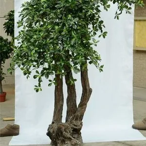 Fiber de verre ornementales à feuilles persistantes chanceux artificiel pachira argent arbre plante pour la décoration intérieure