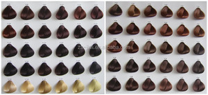 Cartella Colori BISS per Capelli - Product Image 6