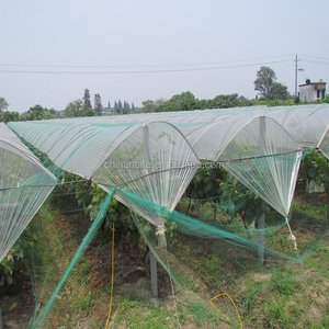 Economical Cheap Price Diamond Agriculture Anti <strong>Bird</strong> <strong>Net</strong> and <strong>Bird</strong> protection <strong>Net</strong> for Vineyard - Product Image 4