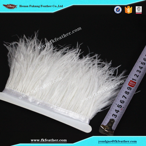 Fukang <span class=keywords><strong>blanco</strong></span> al por mayor <span class=keywords><strong>de</strong></span> plumas <span class=keywords><strong>de</strong></span> <span class=keywords><strong>avestruz</strong></span> cinta uso en graduación diseño <span class=keywords><strong>de</strong></span> vestuario - Product Image 4
