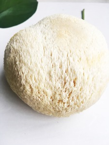 Detan fresco <span class=keywords><strong>hericium</strong></span> <span class=keywords><strong>erinaceus</strong></span> para compradores de setas - Product Image 3