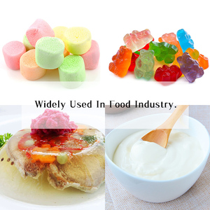 Venta caliente de Comida halal gelatina en polvo ingredientes china colágeno gelatina en polvo en alimentos suplemento