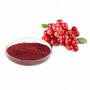 Anti-oxident cranberry fruit extract 25% 30% Proanthocyanidins cranberry extract powder