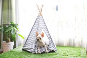 Tenda Teepee per Animali Domestici a Cinque Pali, Prezzo di Fabbrica, Vendita all'Ingrosso - Product Image 3