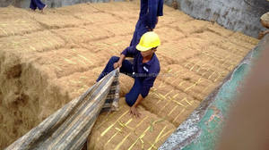 วิลาโคนิค เวียดนาม ใยมะพร้าวฟอกขาว ยาว 25 ซม. รุ่น 1202 - Product Image 4