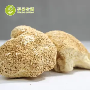 Polvere di funghi criniera di leone a doppia estrazione funghi secchi biologici AD UV WULING vendita calda di funghi secchi di alta qualità all'ingrosso