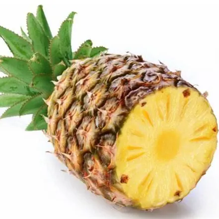 Hotsale Canned pineapple Healthy
