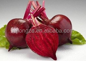 Geneeskrachtige Plantenextract Bietensap Poeder