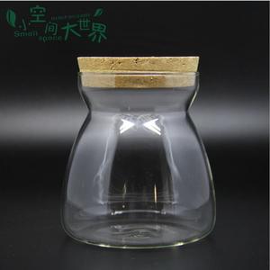 Vendite Dirette della fabbrica Mouthblown Borosilicato di Vetro <span class=keywords><strong>Piante</strong></span> Terrario/Vaso Di Vetro 11.5 centimetri * 12.5 centimetri 10 centimetri * 12.5cm - Product Image 3