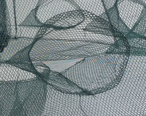 <span class=keywords><strong>8</strong></span> 구멍 우산 유형 휴대용 접이식 낚시 트랩 캐스트 그물 게 FishingFish 미노 80X80cm - Product Image 6