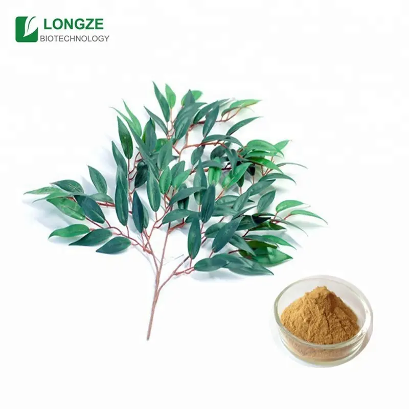 Poudre De Feuilles D Eucalyptus Eucalyptus Leaf Extract Poeder Cineole 20% 50% 80%