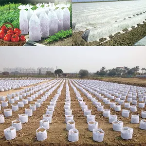 الصين المورد حماية البيئة النباتية الحضانة الشتلات أكياس أكياس الزراعة للحديقة