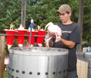 Équipement de volaille abattoir de poulet à Dubaï/structure de poulailler