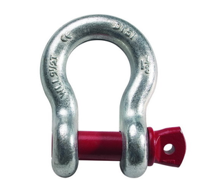 AISI 304 316 galvanisé grande chaîne de chalutage forgée réglable Dee D manilles avec goupille à vis à tête ronde - Product Image 3