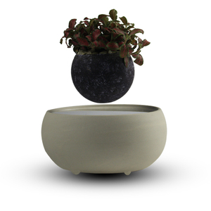 Establecer su envío en medio del aire de aire mágico <span class=keywords><strong>bonsai</strong></span> plantas ornamentales - Product Image 6