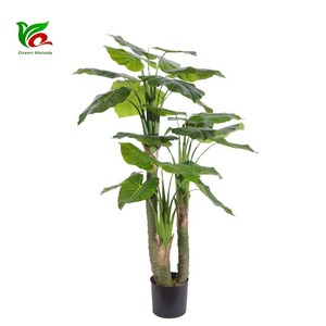 Fabricante Profesional <span class=keywords><strong>de</strong></span> Plantas Artificiales, Árbol <span class=keywords><strong>de</strong></span> Oreja <span class=keywords><strong>de</strong></span> <span class=keywords><strong>Elefante</strong></span> <span class=keywords><strong>de</strong></span> Plástico <span class=keywords><strong>de</strong></span> 1.5 m - Product Image 1