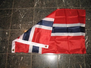 Cờ Na Uy Biểu Ngữ Na Uy Polyester 3X5 Ft Cờ Quốc Gia Khâu Đôi - Product Image 4