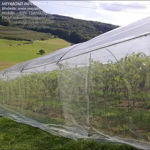 Monofilamento de HDPE (5000S) 50x25, malla antiinsectos para invernadero agrícola, planta de tomate