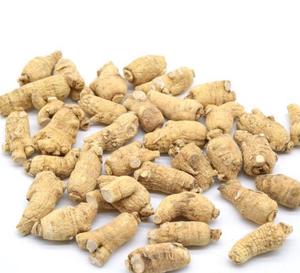 Racines entières brutes séchées naturelles de Panax Quinquefolium <span class=keywords><strong>Xi</strong></span> <span class=keywords><strong>Yang</strong></span> Shen à vendre - Product Image 4